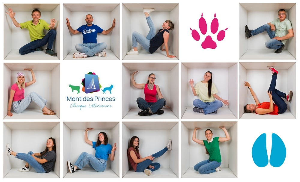 Montage clinique empreintes couleur